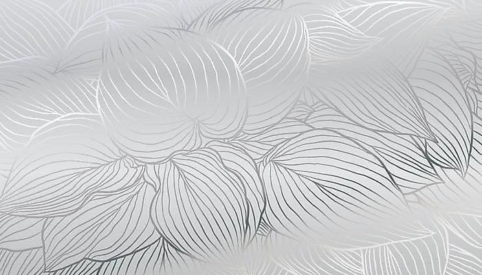 EPS 해외이미지 식물 디자인 배너 포스터 선 결혼 백그라운드 잎 꽃무늬 패턴 일러스트 포장 자연 벽지 추상 미술 그래픽 장식 유행 봄 덮개 화려 고급 우아함 은색 인쇄 은박지 그림 질감 윤곽 손그림 엘리먼트 포장소품 스타일 해외일러스트 계절 꽃 컬러 컨셉 무늬 문화예술 이벤트 뚜껑 오브젝트 생태계 포장재료 파일형식 벡터 이미지허브