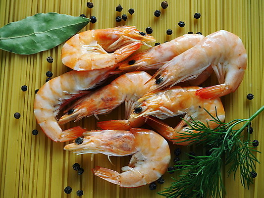 포토 JPG 해외이미지 전통 접시 아시아 음식 다이어트 새우 파스타 파슬리 스파게티 갑각류 어류 요리 사람없음 가로 초록색 식당 식사 저녁식사 이탈리아 신선 지중해 먹기 허브 해산물 유기농 점심식사 마카로니 식품점 채식주의자 해외포토 식물 동물 식기 웰빙 유럽 나라 바다 컬러 채소 모션 서양음식 건강 상점 수중동물 채식 파스타면 파일형식 이미지허브