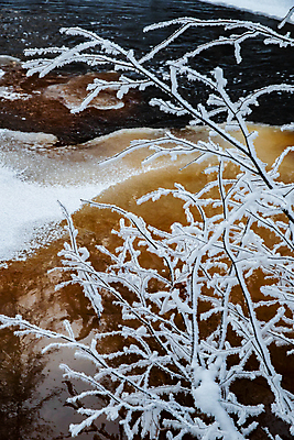 포토 JPG 해외이미지 나무 계절 공원 유럽 호수 백그라운드 겨울 자연 하늘 날씨 휴가 사람 풍경 사람없음 야외 목재 초록색 물 컬러풀 반사 냉동 얼음 폭포 흐름 추위 나뭇가지 시골 개울 분위기 숲 서리 자연백그라운드 장면 내추럴 2월 눈내림 해외포토 자연요소 식물 공공시설 나라 컬러 컨셉 재료 눈_날씨 강 날짜 생태계 파일형식 이미지허브