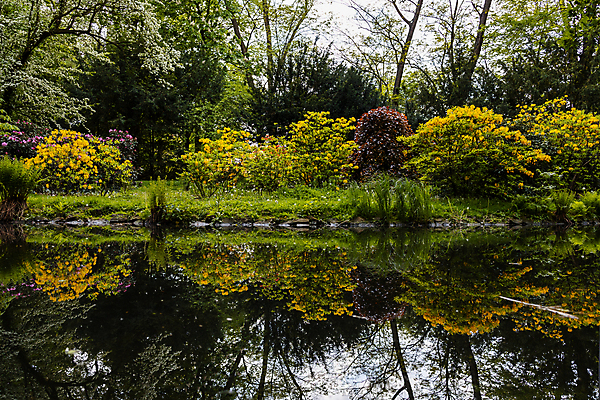 포토 JPG 해외이미지 나무 식물 계절 공원 유럽 호수 여행 잎 자연 하늘 사람없음 야외 목재 초록색 물 빛 뷰티 반사 환경 봄 연못 숲 작음 폴란드 내추럴 브로츠와프 옛날 해외포토 자연요소 공공시설 나라 컬러 재료 크기 생태계 파일형식 이미지허브