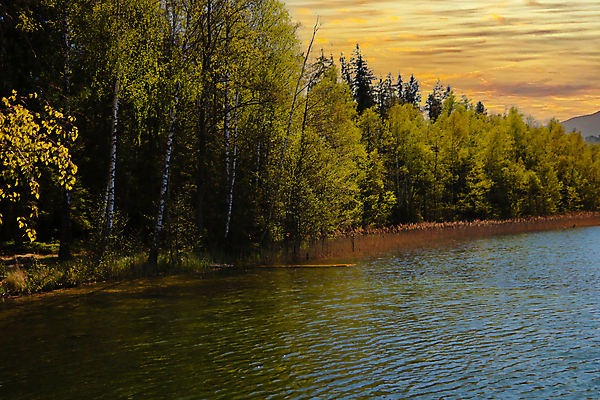 포토 JPG 해외이미지 나무 식물 계절 공원 호수 백그라운드 잎 자연 하늘 아침 낚시 휴가 산 주택 사람없음 야외 목재 초록색 물 파란색 빛 강 컬러풀 햇빛 태양 뷰티 반사 평화 마을 환경 침묵 봄 시골 숲 장면 해외포토 주간 자연요소 공공시설 컬러 컨셉 재료 레저 건물 소리 생태계 파일형식 이미지허브