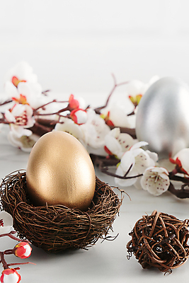 포토 JPG 해외이미지 꽃 백그라운드 사람없음 봄 둥지 4월 부활절계란 달걀바구니 해외포토 식물 계절 부활절 바구니 계란 날짜 파일형식 이미지허브