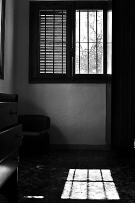 포토 JPG 해외이미지 나무 디자인 벽 백그라운드 컨셉 겨울 건축양식 창문 자연 유리 아침 추상 바닥 주택 흑백 그림자 사람없음 야외 내부 건물 장식 빛 햇빛 태양 평화 일출 방 수확 광선 흰색 야간 장면 옛날 해외포토 주간 자연요소 식물 건축물 계절 건축 컬러 무늬 농업 재질 촬영기법 노을 생태계 파일형식 이미지허브