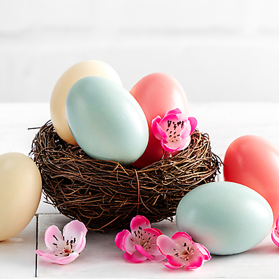 포토 JPG 해외이미지 꽃 백그라운드 사람없음 봄 둥지 4월 부활절계란 달걀바구니 해외포토 식물 계절 부활절 바구니 계란 날짜 파일형식 이미지허브