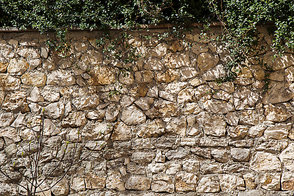 포토 JPG 해외이미지 나무 식물 벽 백그라운드 잎 패턴 자연 벽지 표면 사람없음 초록색 수확 성장 질감 복고 내추럴 그런지 옛날 해외포토 컬러 무늬 농업 생태계 파일형식 이미지허브