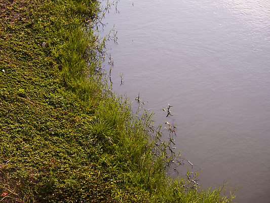 포토 JPG 해외이미지 계절 밭 농업 자연 풍경 사람없음 초록색 물 여름 강 반사 평화 맑음 봄 시골 운하 해외포토 자연요소 산업 컬러 컨셉 날씨 생태계 파일형식 이미지허브