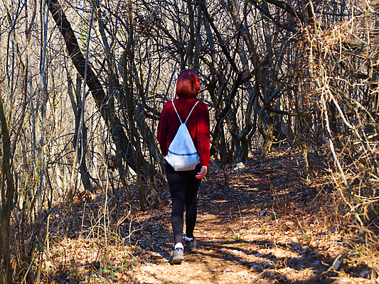 포토 JPG 해외이미지 라이프스타일 공원 여자 행복 도로 길 음악 스포츠 배낭 통신 자국 모션 자연 건강 사람 사람없음 야외 뒷모습 스마트폰 달리기 조깅 운동 맑음 헤드폰 산책 듣기 터치 흰색 메시지 숲 연습 습관 달리기선수 해외포토 공공시설 감정 뷰포인트 컬러 음향기기 가방 교통시설 날씨 문화예술 휴식 생활 핸드폰 스마트기기 생태계 육상선수 파일형식 이미지허브
