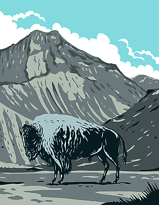 JPG 해외이미지 한마리 일러스트 산 사람없음 들소 그림 카툰스타일 옐로스톤국립공원 와이오밍 해외일러스트 1 국립공원 미국 소 파일형식 이미지허브