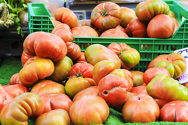 포토 JPG 해외이미지 음식 백그라운드 농업 다이어트 토마토 채소 과일 자연 건강 사람없음 초록색 농작물 컬러풀 판매 정원 활발 샐러드 수확 신선 그룹 맛 떨어짐 다발 먹기 가득함 유기농 질감 심플 모음 영양분 채식주의자 세련 완전 해외포토 웰빙 산업 컬러 컨셉 모션 한글 생태계 채식 파일형식 이미지허브