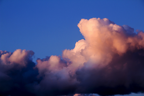 포토 JPG 해외이미지 모양 분홍색 여행 백그라운드 겨울 자연 갈매기 하늘 날씨 휴가 사람없음 파란색 빛 컬러풀 햇빛 태양 뷰티 힘 황혼 일몰 놀람 새벽 활발 회색 에너지 스페인 황금 저녁 장면 공상 광 알리칸테 폭풍우 해외포토 자연요소 계절 감정 유럽 컬러 컨셉 조류 표정 노을 비_날씨 야간 자연재해 생태계 파일형식 이미지허브