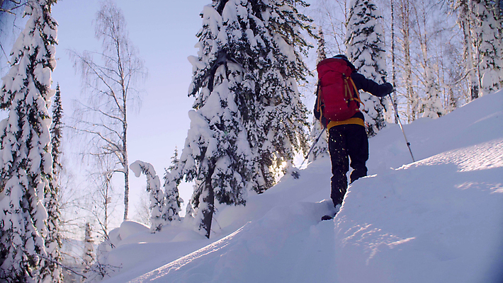 포토 JPG 해외이미지 계절 남자 스포츠 여행 겨울 배낭 모션 아침 휴가 스키 산 한명 야외 뒷모습 걷기 힘 하이킹 자유 흰색 승차 숲 시원함 가루 스키선수 무료 시베리아 눈내림 해외포토 주간 1 뷰포인트 컬러 컨셉 가방 레저 겨울스포츠 운동선수 눈_날씨 사람 파일형식 이미지허브