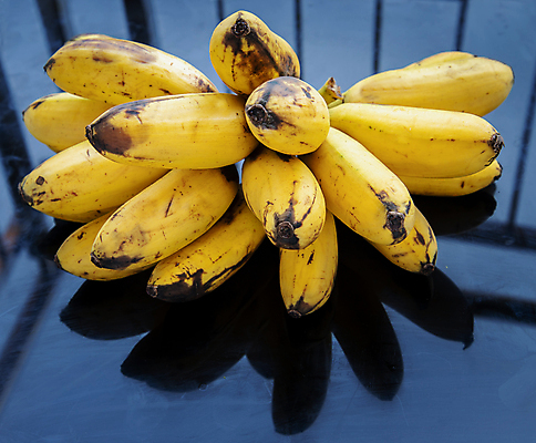 포토 JPG 해외이미지 음식 백그라운드 농업 다이어트 과일 태국 자연 디저트 바나나 건강 사람없음 노란색 검은색 식사 아기 신선 그룹 황금 달콤 맛 작음 다발 먹기 유기농 내추럴 숙성 이국적 채식주의자 탄수화물 디톡스 비건 해외포토 웰빙 산업 아시아 컬러 컨셉 모션 사람 크기 생태계 채식 파일형식 이미지허브