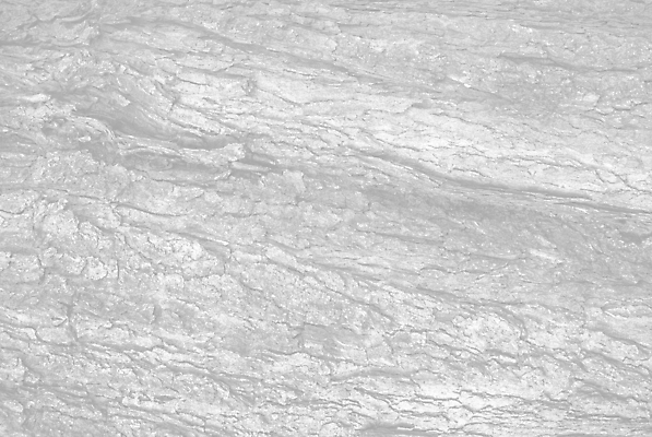 포토 JPG 해외이미지 나무 식물 공원 백그라운드 패턴 자연 표면 날씨 건조 사람없음 목재 환경 회색 나뭇가지 거친 보호 숲 낟알 장작 피부 묘사 질감 날것 나무껍질 잡동사니 거인 내추럴 미루나무 수목 썩음 옛날 울퉁불퉁 플라타너스 해외포토 공공시설 컬러 컨셉 무늬 재료 신체부위 껍질 생태계 파일형식 이미지허브