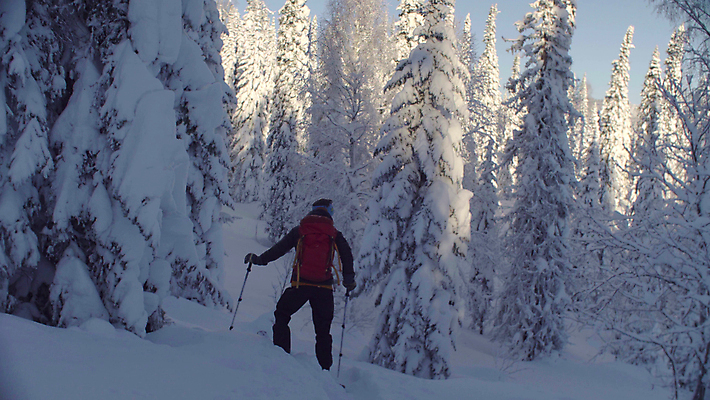 포토 JPG 해외이미지 계절 남자 스포츠 여행 겨울 배낭 모션 아침 휴가 스키 산 한명 야외 뒷모습 걷기 힘 하이킹 자유 흰색 승차 숲 시원함 가루 스키선수 무료 시베리아 눈내림 해외포토 주간 1 뷰포인트 컬러 컨셉 가방 레저 겨울스포츠 운동선수 눈_날씨 사람 파일형식 이미지허브