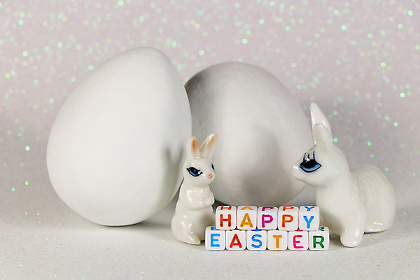 포토 JPG 해외이미지 전통 디자인 계절 행복 종교 백그라운드 컨셉 텍스트 휴가 사탕 선물 이벤트 사람없음 장식 가로 컬러풀 초콜릿 사진촬영 봄 흰색 축하 토끼 인사 신용카드 4월 순수 부활절계란 사냥 귀 남아프리카 테마 카피스페이스 해외포토 감정 컬러 포유류 아프리카 디저트 부활절 신체부위 금융 반려동물 계란 촬영 공백 예절 날짜 파일형식 이미지허브