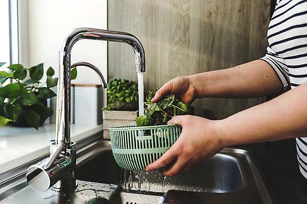 포토 JPG 해외이미지 식물 라이프스타일 손 여자 음식 잎 농업 다이어트 토마토 재료 주택 건강 관리 요리 사람 사람없음 내부 초록색 물 금속 주방 요리사 샐러드 젖음 신선 아내 씻기 빨래 상품 상추 싱크대 준비 유기농 날것 흙더미 내추럴 바이오 채식주의자 비건 해외포토 자연요소 직업 웰빙 산업 컬러 가사 채소 재질 건물 생활 신체부위 청결 흙 개수대 채식 파일형식 더미 이미지허브