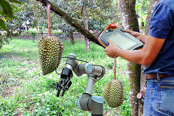 포토 JPG 해외이미지 주간 남자 밭 한명 동양인 상반신 성인 야외 옆모습 농작물 농사 농부 두리안 로봇팔 성인남자한명만 스마트팜 해외포토 자연요소 직업 1 뷰포인트 농업 사람 인종 농장 로봇 남자한명만 성인남자만 파일형식 이미지허브