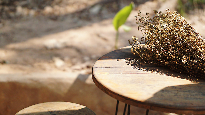 포토 JPG 해외이미지 식물 꽃 꽃다발 의자 자연 주택 건조 사람없음 내부 목재 장식 벚꽃 해외포토 나무 가구 재료 건물 생태계 파일형식 이미지허브