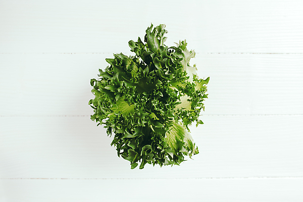 포토 JPG 해외이미지 식물 라이프스타일 음식 백그라운드 컨셉 잎 농업 다이어트 채소 재료 건강 요리 사람없음 초록색 정원 샐러드 흰색 나뭇가지 신선 그룹 달콤 맛 상추 먹기 허브 유기농 날것 내추럴 고립 숙성 채식주의자 카피스페이스 해외포토 나무 웰빙 산업 컬러 모션 생활 공백 채식 파일형식 이미지허브