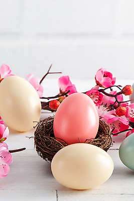 포토 JPG 해외이미지 꽃 백그라운드 사람없음 봄 둥지 4월 부활절계란 달걀바구니 해외포토 식물 계절 부활절 바구니 계란 날짜 파일형식 이미지허브