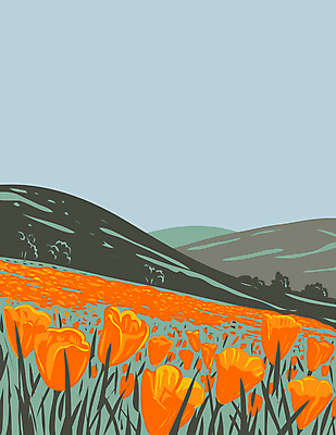 JPG 해외이미지 꽃 꽃밭 일러스트 자연 산 국립공원 사람없음 튤립 그림 캘리포니아 카툰스타일 해외일러스트 식물 공원 미국 생태계 파일형식 이미지허브