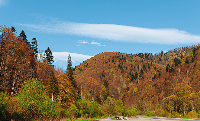 포토 JPG 해외이미지 나무 식물 계절 꽃 여행 백그라운드 꽃무늬 자연 하늘 휴가 산 사람없음 야외 목재 초록색 파란색 햇빛 환경 정원 침묵 봄 자유 안개 시골 숲 땅 언덕 즐거움 장면 천국 내추럴 생태학 해외포토 교육 감정 컬러 컨셉 무늬 재료 날씨 태양 소리 생태계 파일형식 이미지허브