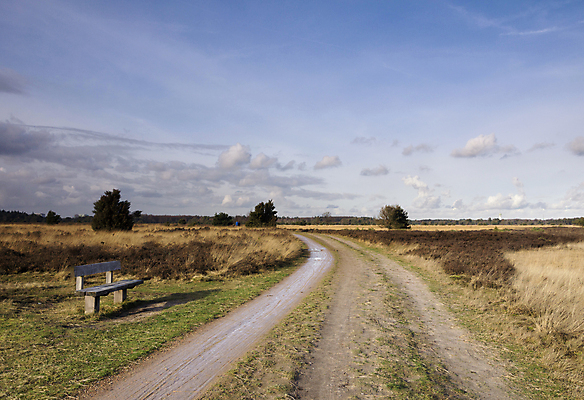 포토 JPG 해외이미지 나무 도로 길 여행 겨울 벤치 의자 자연 하늘 휴식 사람없음 파란색 모래사장 침묵 추위 오픈 네덜란드 지역 해외포토 식물 계절 유럽 바다 컬러 가구 컨셉 교통시설 소리 생태계 파일형식 이미지허브