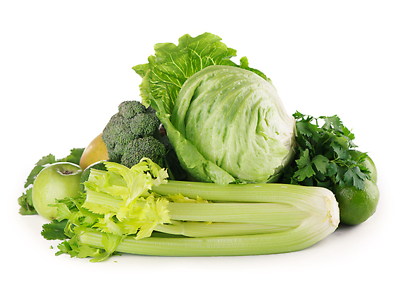 포토 JPG 해외이미지 잎 채소 과일 사람없음 초록색 양배추 샐러리 아보카도 해외포토 식물 컬러 파일형식 이미지허브