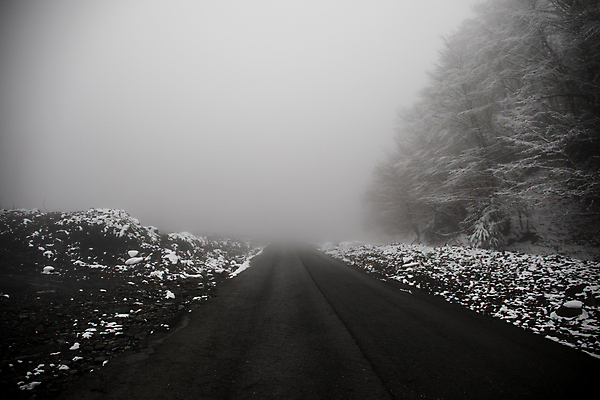 포토 JPG 해외이미지 나무 도로 겨울 자연 사람없음 야외 안개 눈 가로수 해외포토 자연요소 식물 계절 길 교통시설 날씨 생태계 파일형식 이미지허브