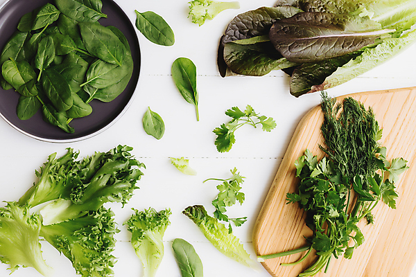 포토 JPG 해외이미지 식물 라이프스타일 음식 백그라운드 컨셉 잎 농업 다이어트 채소 재료 도마 파슬리 건강 요리 사람없음 초록색 정원 샐러드 흰색 나뭇가지 신선 그룹 사발 달콤 상추 먹기 허브 유기농 날것 시금치 내추럴 고립 숙성 채식주의자 로메인상추 카피스페이스 해외포토 나무 웰빙 산업 컬러 모션 주방용품 생활 공백 사기그릇 맛 채식 파일형식 이미지허브