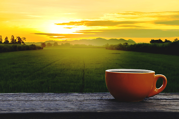 포토 JPG 해외이미지 나무 커피 음료 음식 백그라운드 밭 농업 비즈니스 탁자 아침 휴식 산 따뜻함 미술 풍경 사람없음 야외 목재 컵 초록색 여름 햇빛 태양 농장 갈색 우주 일출 검은색 봄 카페 머그컵 수확 흰색 신선 뜨거움 도자기 차 아침식사 수증기 아로마 카푸치노 에스프레소 내추럴 단절 라떼 카페인 해외포토 주간 자연요소 식물 식기 계절 산업 컬러 가구 컨셉 재료 문화예술 노을 상점 식사 파일형식 이미지허브