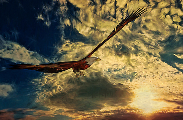 포토 JPG 해외이미지 동물 구름 밭 날개 오렌지 일러스트 조류 하늘 미술 풍경 사람없음 야외 파란색 햇빛 태양 노란색 3D 일몰 페인트 새벽 수확 저녁 깃털 부리 독수리 육식동물 계산서 그런지 서쪽 해외일러스트 자연요소 컬러 농업 과일 문화예술 노을 야간 방향 디지털합성 파일형식 이미지허브