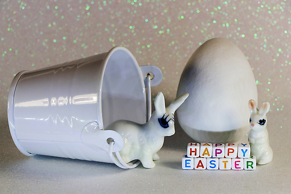 포토 JPG 해외이미지 전통 디자인 계절 행복 종교 백그라운드 컨셉 텍스트 휴가 사탕 선물 이벤트 사람없음 장식 가로 컬러풀 바구니 초콜릿 사진촬영 흰색 축하 토끼 인사 신용카드 4월 양동이 순수 부활절계란 사냥 귀 남아프리카 테마 카피스페이스 해외포토 감정 컬러 포유류 아프리카 디저트 부활절 신체부위 금융 반려동물 계란 촬영 공백 예절 날짜 파일형식 이미지허브