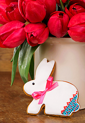 포토 JPG 해외이미지 여러송이 봄꽃 부활절 실내 사람없음 쿠키 꽃병 튤립 동물쿠키 토끼모양 해외포토 모양 기념일 꽃 다수 디저트 내부 봄 파일형식 이미지허브