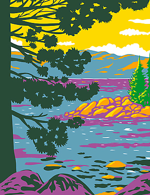 JPG 해외이미지 나무 실루엣 호수 일러스트 자연 사람없음 그림 캘리포니아 카툰스타일 해외일러스트 식물 촬영기법 미국 생태계 파일형식 이미지허브