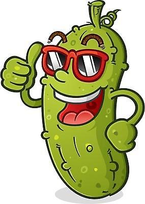 EPS 해외이미지 캐릭터 음식 채소 일러스트 오이 미소 웃음 초록색 선글라스 유행 추위 달콤 그늘 시원함 만화 흥분 피클 나쁜 딜 마스코트 오이피클 스타일 힙스터 해외일러스트 일러캐릭터 패션 감정 안경 컬러 표정 맛 절임 파일형식 벡터 이미지허브