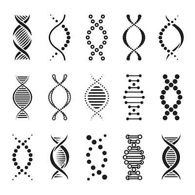 EPS 해외이미지 일러스트 종류 사람없음 다양 DNA 생명공학 이중나선구조 해외일러스트 다수 의학 파일형식 벡터 이미지허브