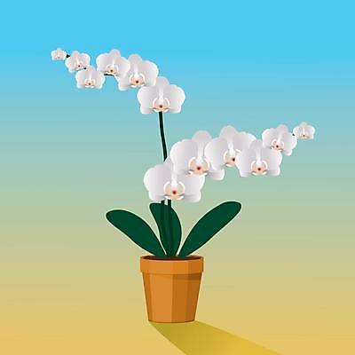 EPS 해외이미지 식물 꽃 꽃무늬 일러스트 장식 난초 해외일러스트 무늬 파일형식 벡터 이미지허브