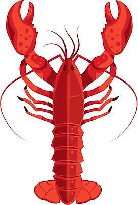 EPS 해외이미지 동물 야생동물 음식 바다 일러스트 갑각류 요리 빨간색 물 수중 껍질 해산물 발톱 해외일러스트 자연요소 컬러 발 파일형식 벡터 이미지허브