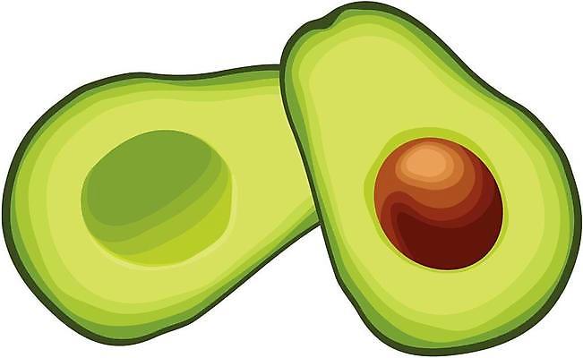 EPS 해외이미지 음식 과일 일러스트 건강 씨앗 초록색 반쪽 슬라이스 아보카도 고립 해외일러스트 식물 컬러 파일형식 벡터 이미지허브