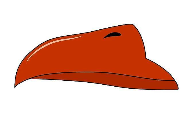 EPS 해외이미지 클립아트 동물 디자인 백그라운드 오렌지 일러스트 조류 갈색 흰색 입 만화 심볼 부리 고립 해외일러스트 컬러 과일 신체부위 파일형식 벡터 이미지허브