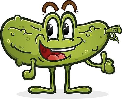 EPS 해외이미지 식물 캐릭터 행복 음식 채소 일러스트 성공 오이 건강 미소 초록색 정원 신선 달콤 만화 흥분 피클 긍정 포도나무 딜 마스코트 승인 오이피클 주키니 해외일러스트 일러캐릭터 감정 컬러 컨셉 표정 맛 과일나무 절임 파일형식 벡터 이미지허브