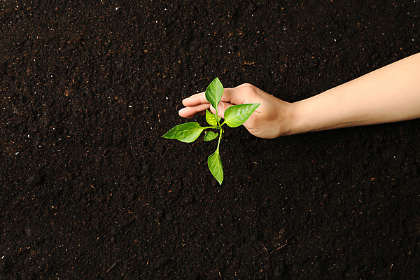 포토 JPG 해외이미지 식물 여자 남자 지구 백그라운드 컨셉 농업 가족 자연 새로움 관리 사랑 사람없음 물 농장 새싹 우주 환경 정원 검은색 희망 흙 봄 성장 잡기 아빠 보호 농부 숲 작음 꽃집 에코 유기농 원예 내추럴 돌봄 땅바닥 모종 묘목 생태학 해외포토 자연요소 나무 직업 웰빙 계절 교육 감정 산업 컬러 관계 모션 바닥 사람 취미 상점 크기 생태계 파일형식 이미지허브