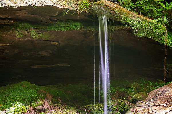 포토 JPG 해외이미지 나무 식물 백그라운드 자국 자연 이끼 사람없음 야외 초록색 물 골짜기 봄 하이킹 흐름 암석 개울 숲 오솔길 땅 땅바닥 해외포토 자연요소 계절 길 컬러 컨셉 레저 바닥 강 돌_바위 생태계 파일형식 이미지허브