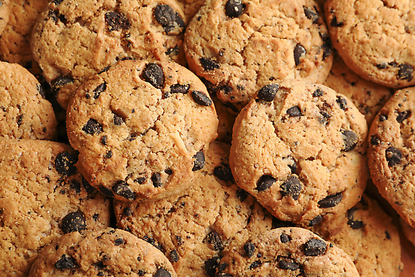 포토 JPG 해외이미지 디저트 사람없음 갈색 쿠키 가득함 초코칩쿠키 해외포토 음식 컬러 초코칩 초코쿠키 파일형식 이미지허브