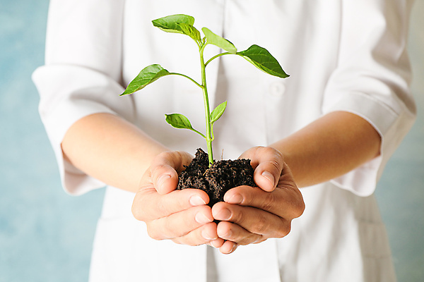 포토 JPG 해외이미지 나무 식물 손 여자 잎 자연 한명 상반신 성인 앞모습 흙 잡기 에코 생태계 묘목 성인여자한명만 해외포토 1 뷰포인트 모션 사람 신체부위 환경 여자한명만 성인여자만 파일형식 이미지허브