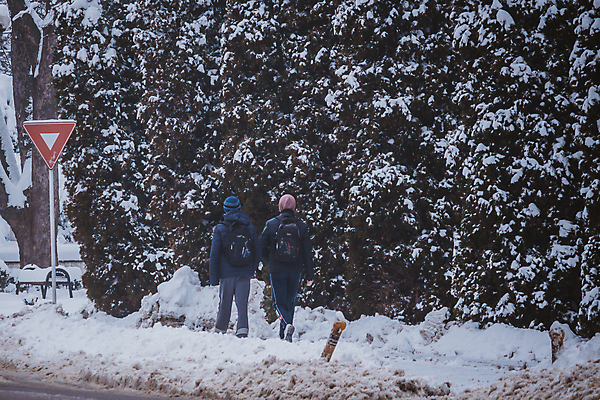 포토 JPG 해외이미지 나무 식물 겨울 벤치 자연 날씨 스키 거리 사람없음 야외 울타리 걷기 점프 냉동 얼음 추위 나뭇가지 바퀴 보행자 서리 타이어 폭풍 눈보라 해외포토 자연요소 계절 의자 모션 겨울스포츠 눈_날씨 담장 생태계 파일형식 이미지허브