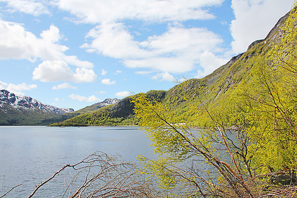 포토 JPG 해외이미지 나무 공원 여행 자연 하늘 산 노르웨이 사람없음 초록색 물 파란색 맑음 봄 소나무 정상 숲 언덕 북쪽 전나무 스칸디나비아 전국 절정 해외포토 자연요소 식물 계절 공공시설 유럽 컬러 날씨 방향 생태계 파일형식 이미지허브