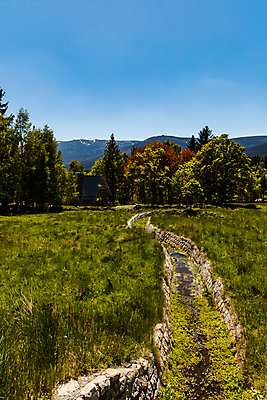 포토 JPG 해외이미지 나무 공원 유럽 여행 자국 자연 하늘 휴가 산 파노라마 국립공원 사람없음 초록색 물 파란색 강 여행객 트래킹 하이킹 숲 작음 거인 폴란드 내추럴 절정 해외포토 자연요소 식물 공공시설 나라 컬러 레저 촬영기법 사람 크기 생태계 파일형식 이미지허브