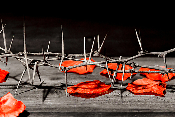 포토 JPG 해외이미지 전통 기독교 상징 휴가 왕관 부활절 사람없음 숫자 성경 가시 신성 희생 용서 복음 염원 충실 해외포토 문자 기념일 종교 컨셉 종교용품 파일형식 이미지허브